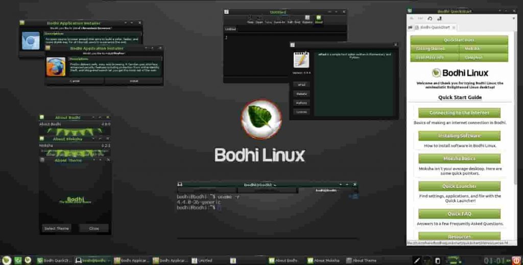 Bodhi Lightweight Linux Distro