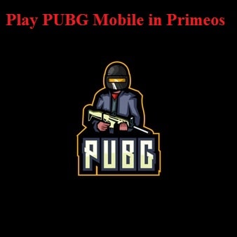 How to dual-boot PrimeOS with Windows 10/11 - Play PUBG Free on PC 2022