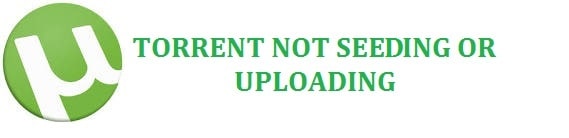 FIX: Torrents Not Seeding or Uploading in uTorrent or BitTorrent (2022)