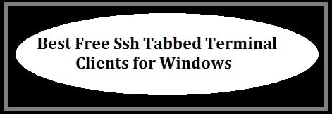 11 Best Free SSH Tabbed Terminal Clients for Windows 10/11 2022