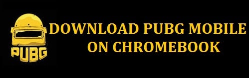 How to Play PUBG on Chromebook in 2022 (Working Guide)