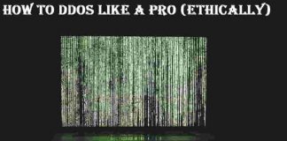 How to DDoS Like a Pro: The Definitive Guide (2019)