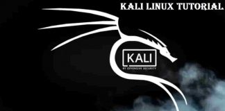 Kali Linux Hacking Tutorial for Starters: The Definitive Guide (2019)