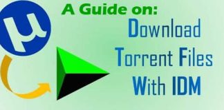 How to download torrent files with IDM in 2019