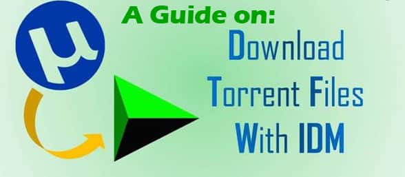 How to Download Torrent Files with IDM 2022 (4 Free Solutions)