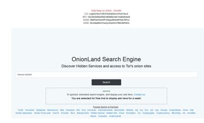 Onion deep web search