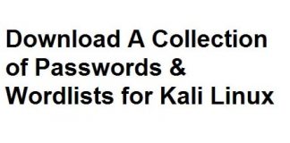 Download Passwords and Wordlists Collection for Kali Linux (2020)
