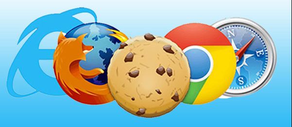 How To Use Netflix Cookies on Chrome